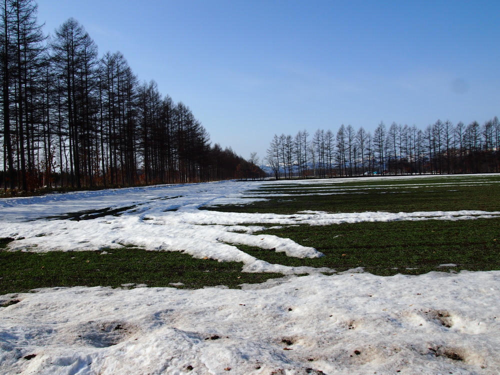 4月、雪どけ進む・・中札内村の農村風景_f0276498_1293816.jpg