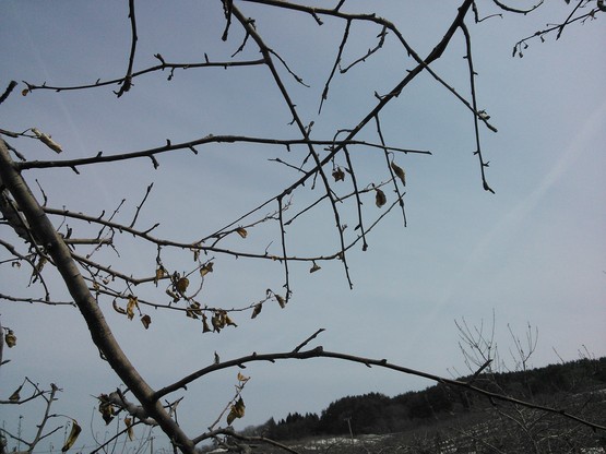e0104702_22233211.jpg