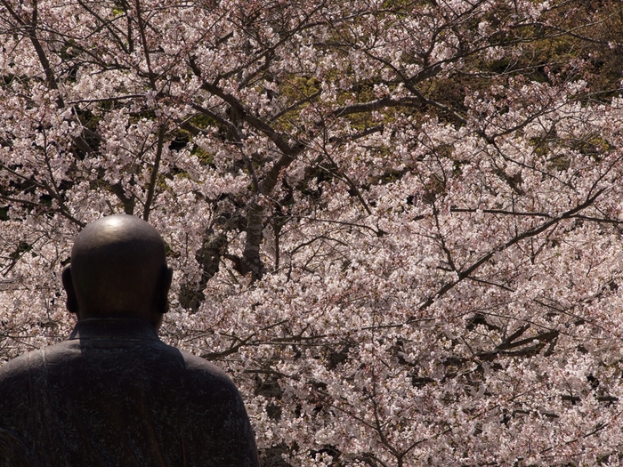 妙本寺　2012/04/08_a0114003_22462650.jpg