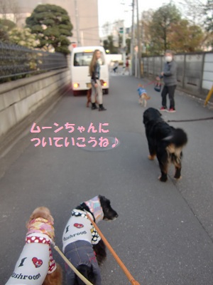 a0134004_13281727.jpg