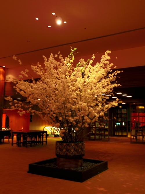 春ボジョレーと夜桜ビュッフェ@八芳園_e0123104_782310.jpg