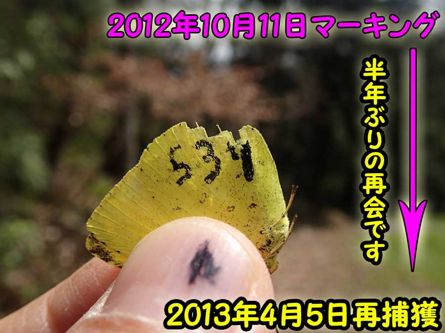e0253104_23221053.jpg