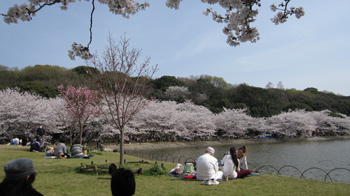 c0230109_91696.jpg
