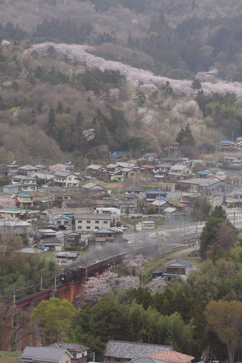 桜・荒川鉄橋と宝登山+黒煙 - 2013年・秩父 - _b0190710_22342613.jpg