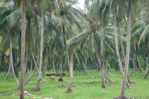 f0276510_14383673.jpg