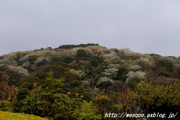 a0161111_1044174.jpg