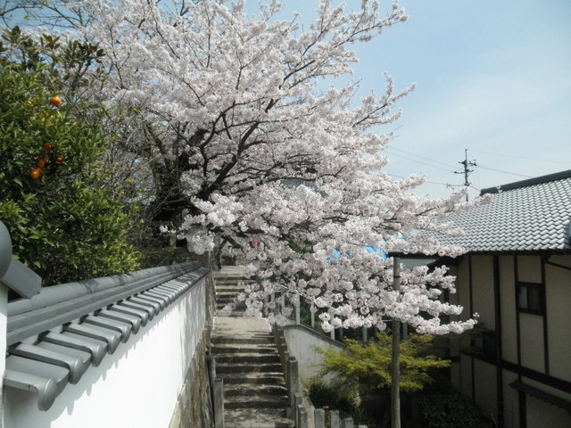 a0189513_10152116.jpg