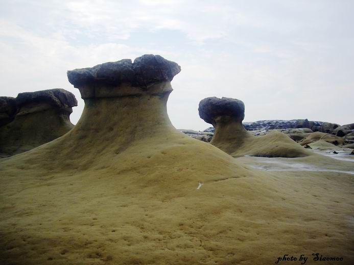 再遊～基隆和平島公園_e0024817_19454323.jpg