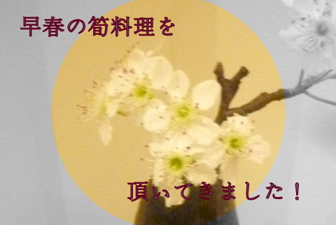 早春の筍料理_f0205317_23172265.jpg