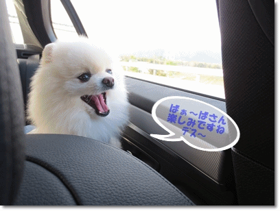 b0167519_1859159.gif
