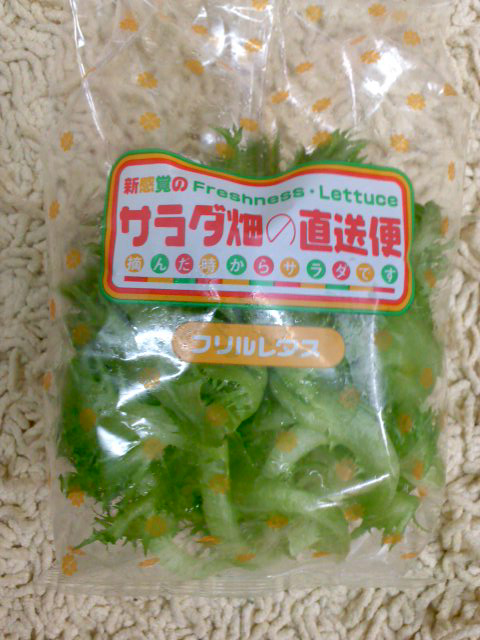 レタスプレゼント!_a0196732_16151665.jpg