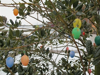f0224632_16504527.jpg