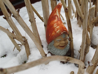 f0224632_1651996.jpg