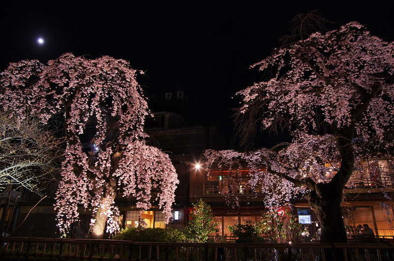 祇園白川・円山公園・夜桜_f0155048_1973747.jpg