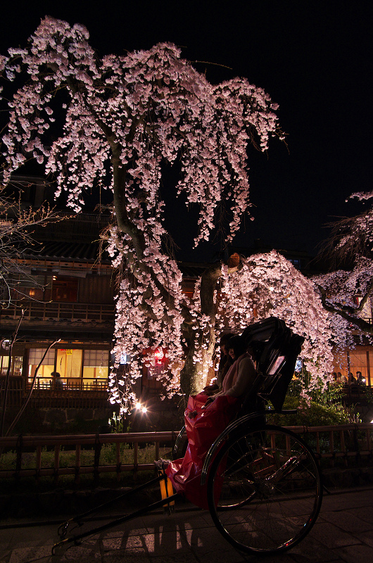 祇園白川・円山公園・夜桜_f0155048_1993317.jpg