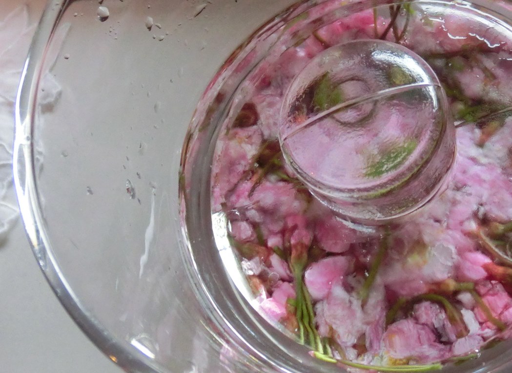 ツバメの引っ越しって・・・_e0291149_1736789.jpg