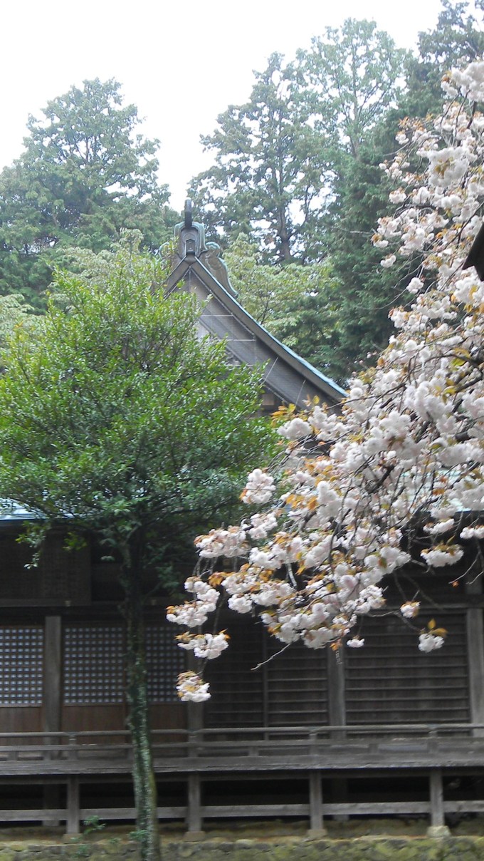 b0005652_9294553.jpg