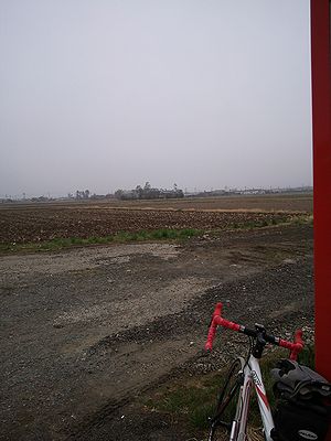 a0096557_1430507.jpg