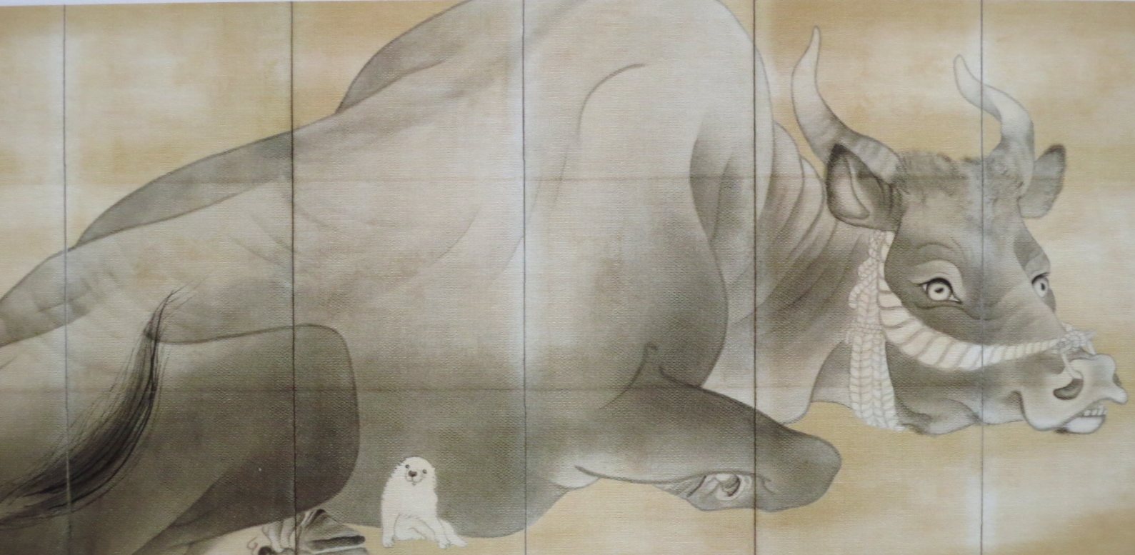 若冲さんちの「わんこ」_c0260460_21582178.jpg