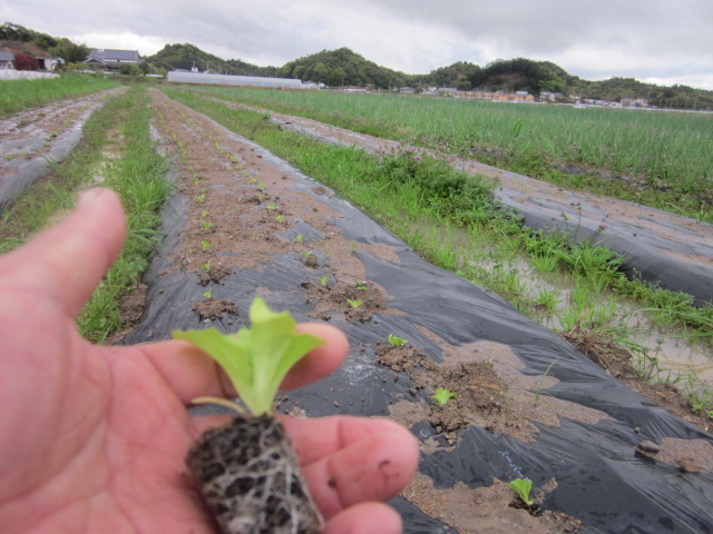 ちょっと段取りが悪い_e0181260_2015480.jpg