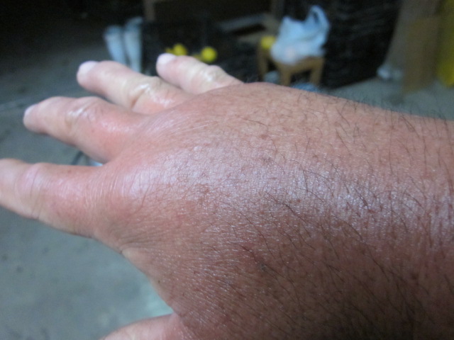 e0181260_202055100.jpg