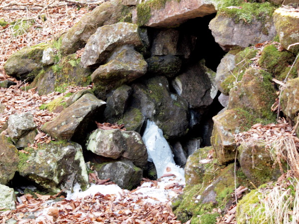 f0215964_15144571.jpg