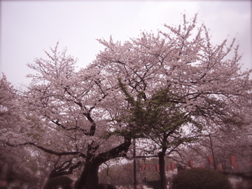 e0201166_16241195.jpg