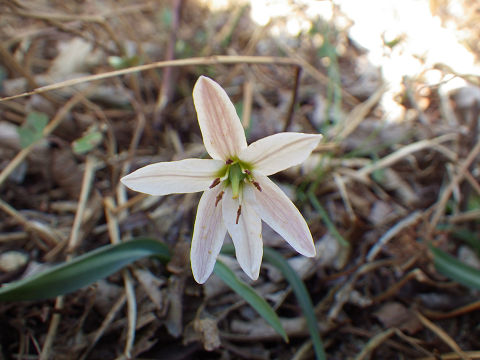 c0002874_16223992.jpg