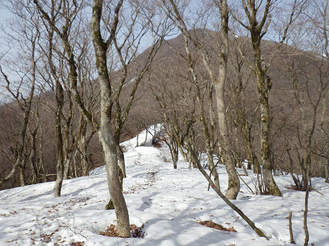 鈴鹿　藤原岳（孫太尾根）_c0002874_1643135.jpg