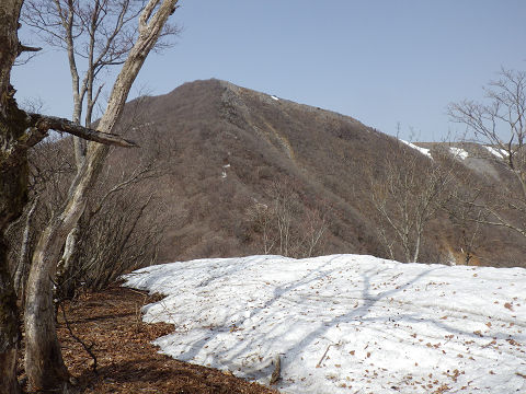 鈴鹿　藤原岳（孫太尾根）_c0002874_16441078.jpg