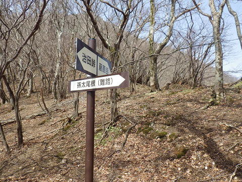 c0002874_16461629.jpg
