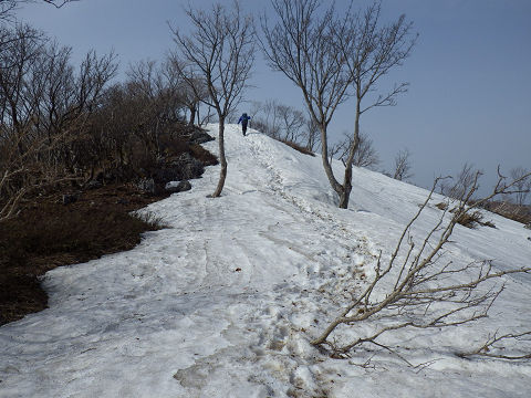 鈴鹿　藤原岳（孫太尾根）_c0002874_16521598.jpg