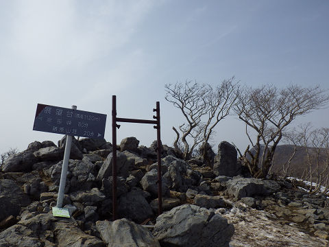 c0002874_1653031.jpg