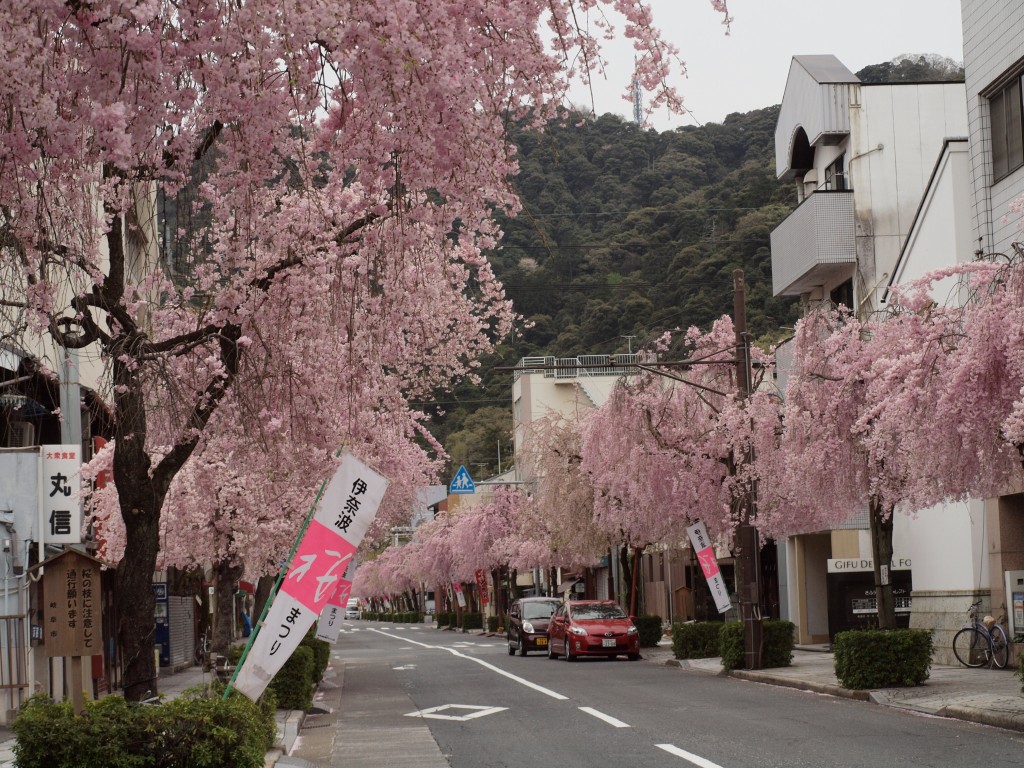 『伊奈波（いなば）神社の枝垂桜と山車』_d0054276_20394834.jpg