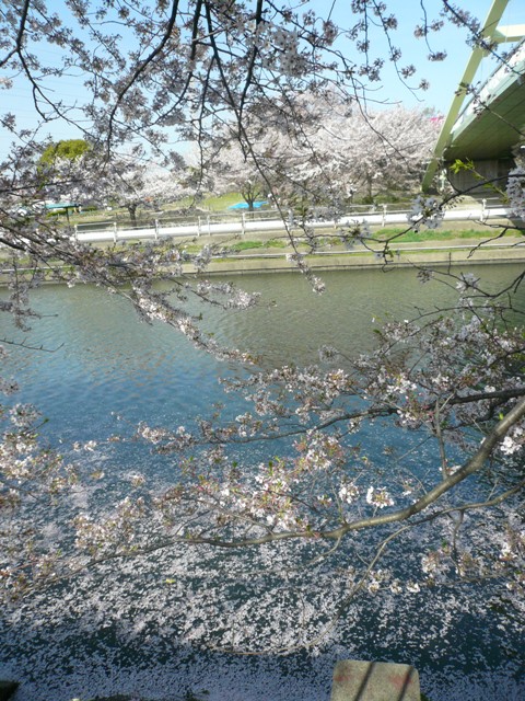 f0149982_15451649.jpg