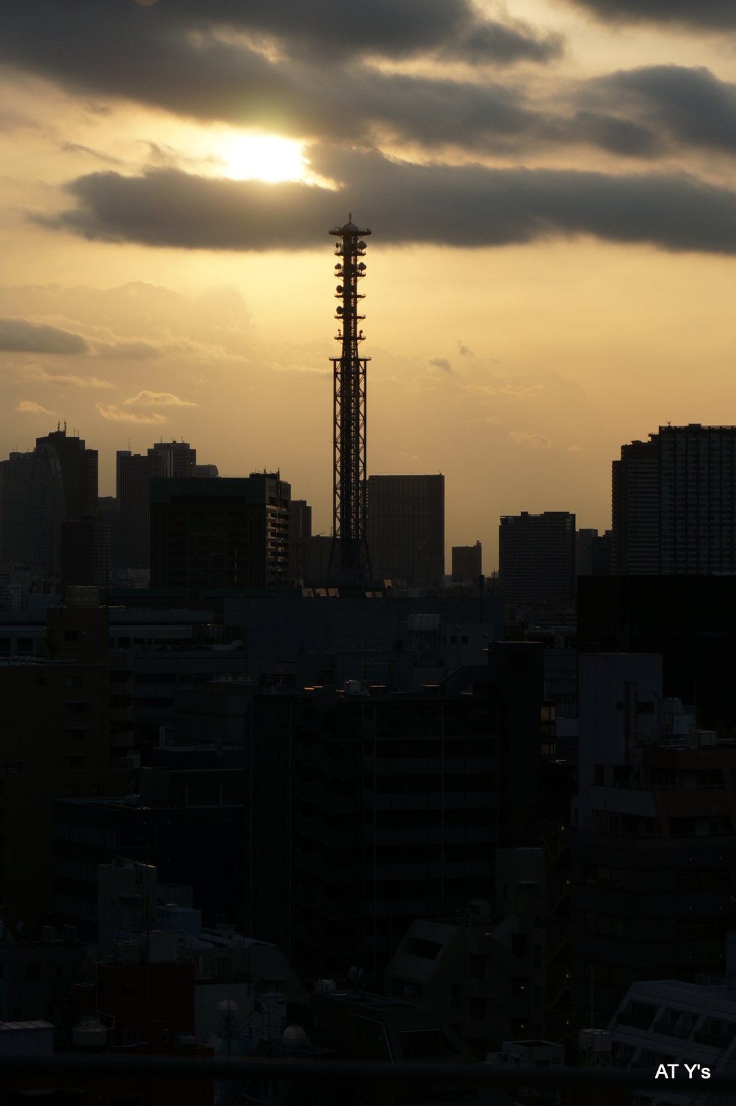 新宿御苑でお花見撮影会_b0107483_10473319.jpg