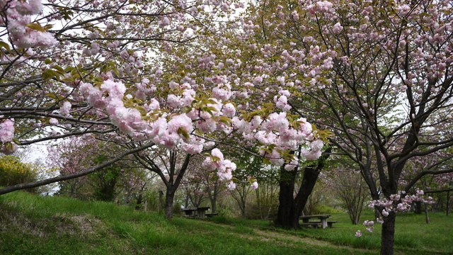 c0133096_15575856.jpg