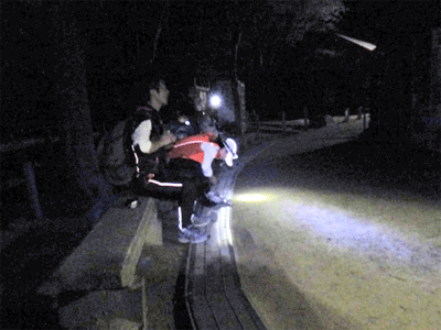 b0108100_10583998.gif