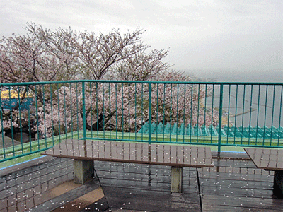 b0108100_12222382.gif