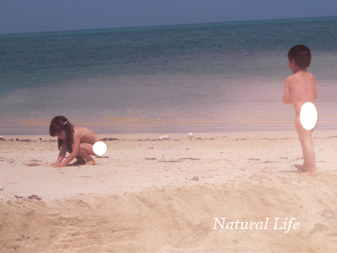 b0162000_518123.gif