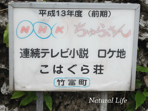 b0162000_5225456.gif