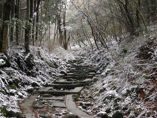 f0187402_18272912.jpg