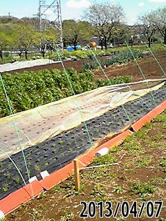 e0270403_18224029.jpg