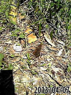 e0270403_18262646.jpg