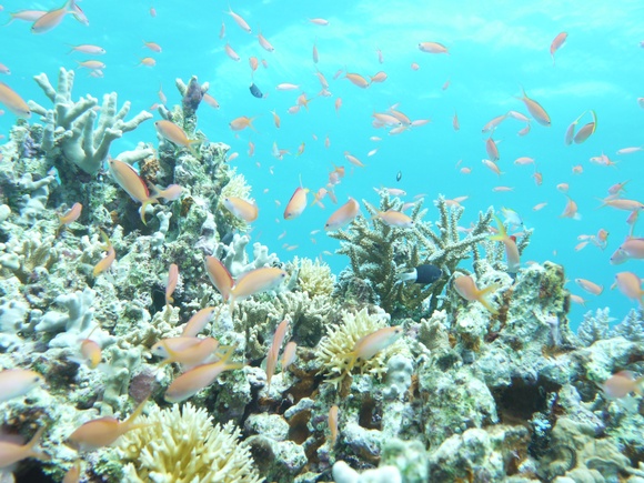 c0138504_0492582.jpg
