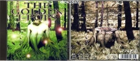 ゴールデンボンバーのレアなCD達 : T@K@ DIARY