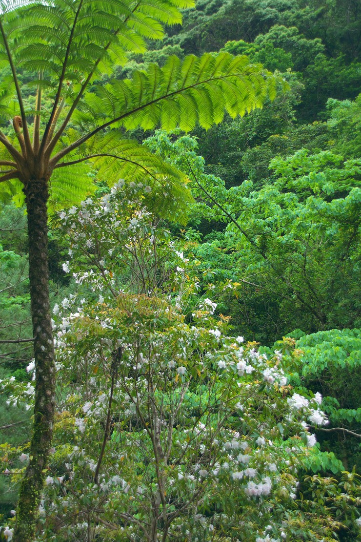 b0174905_19285736.jpg