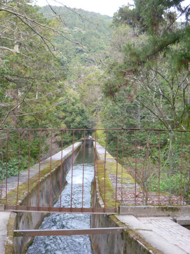 京都にて⑩　４月４日_b0254207_0351947.jpg