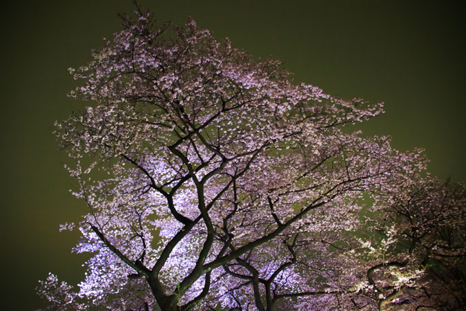 a0263109_11244176.jpg