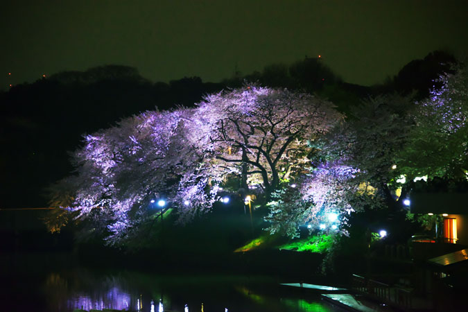 a0263109_11254553.jpg